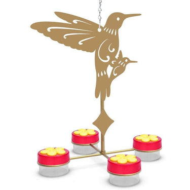 mangeoire colibri oiseau